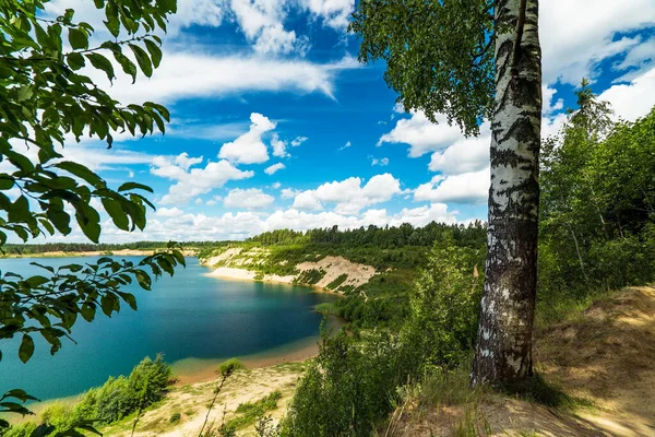 Paisaje de verano con lago y abedul en un día soleado y cielo azul. — Foto de Stock