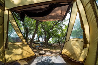Şam fıstığı ağaçlarıyla güneşli sahildeki çadırın manzarası.