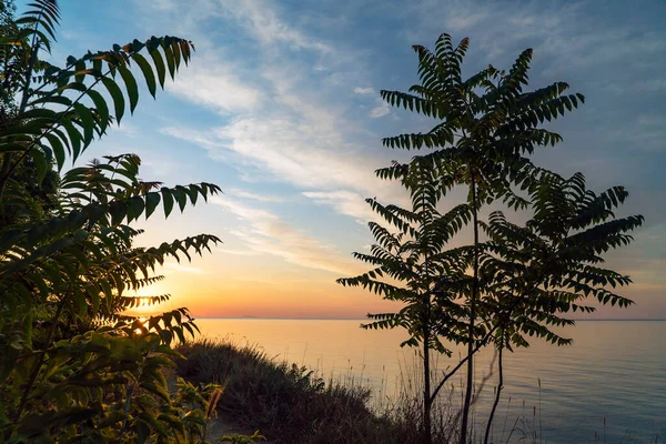 Salida Del Sol Costa Del Mar Negro Costa Sur Crimea — Foto de Stock