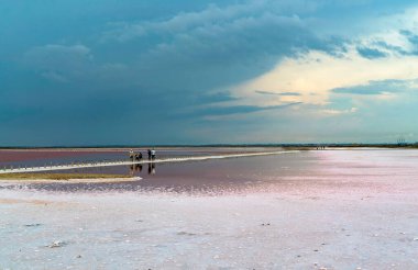 Kırım Yarımadası 'nın batı yakasında güzel pembe göl Sasyk-Sivash
