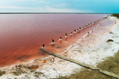 Kırım Yarımadası 'nın batı yakasında güzel pembe göl Sasyk-Sivash