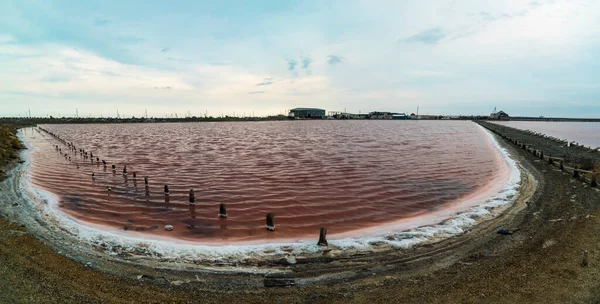 Hermoso Lago Rosa Sasyk Sivash Parte Occidental Península Crimea Panorama — Foto de Stock