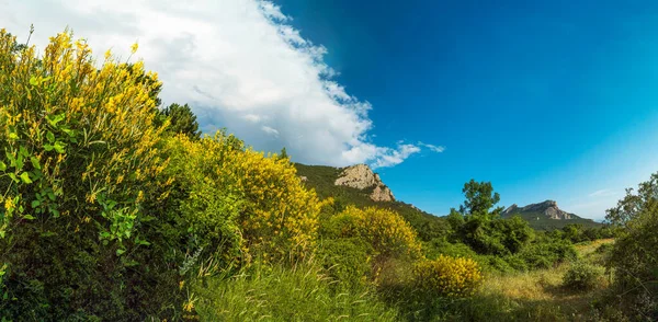 Sarı çiçekli çalılar ve mavi gökyüzü olan dağ manzarası. Panorama. Kırım