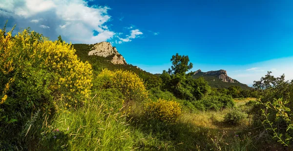 Sarı çiçekli çalılar ve mavi gökyüzü olan dağ manzarası. Panorama. Kırım