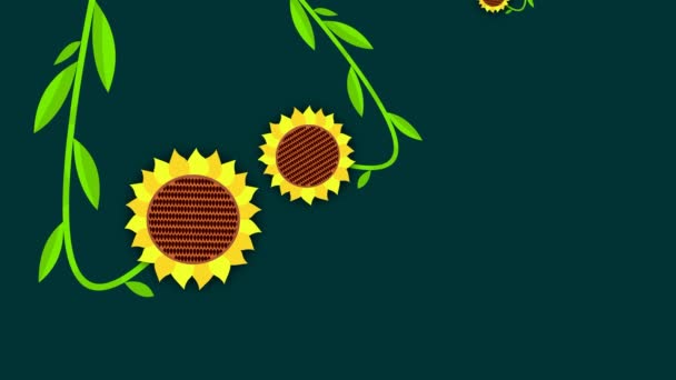 Animación Una Gran Flor Redonda Amarilla Girasol — Vídeos de Stock