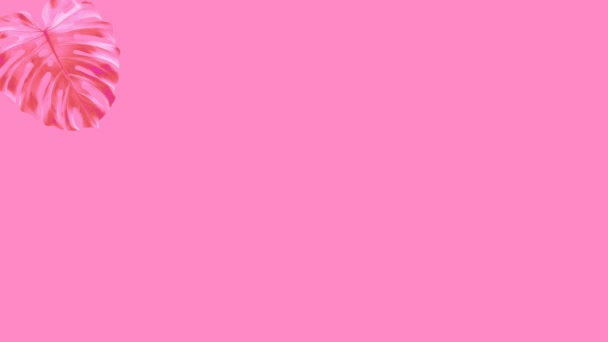 Κινούμενα Σχέδια Τροπικά Φύλλα Φοίνικα Ροζ Φόντο — Αρχείο Βίντεο