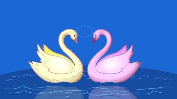 Two Swans Swim Each Other Feeling Love Arises Them Symbol — Stock Video