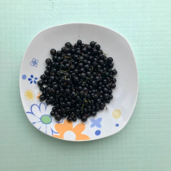 Blackcurrant Berries Plate Green Background — Stock Photo, Image