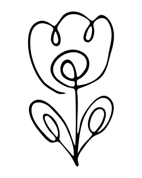 白地に線で描かれた花 ベクトル — ストックベクタ