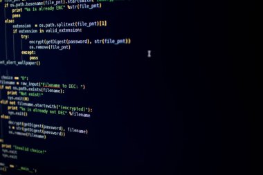 Virüs Kaynak Kodu. Maktulün bilgisayarındaki dosyaları şifreleyen kötü niyetli kod. Siber güvenlik için önemli yazılımın kod satırları