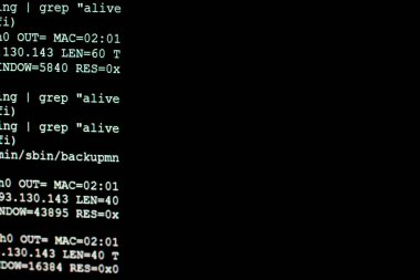 Sunucu linux günlük kaydı dosyası 