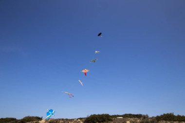 Yedi renkli uçurtma arka planda mavi gökyüzü ile kumsalda uçuyor.