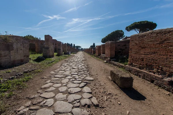 Ancient Roman road paved with stones for carriage. Decumano maximum in Ostia ancient 2nd century. Sun, sea pines and Roman ruins in the background