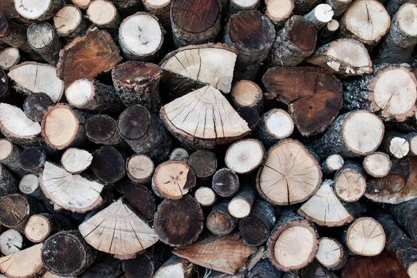 wood logs cut with the visible grain. Wood for winter with different types of wood