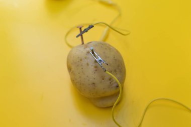 Patates, limon, timsah tokası, çinko ve bakır tırnaklı BTMM aktivitesi. Liderliği çalıştırmak için doğal pil. Sarı arka planda elektrik üzerinde çocuklar için bilimsel deney