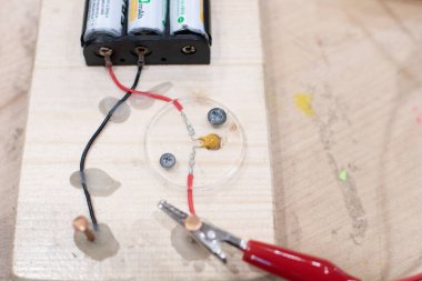 Düşük voltajlı çocuklarda elektrik devreleri. Timsah tokaları için bakır çivilerle ahşap tabanlara monte edilmiş. Okuldaki teknolojik eğitim aktiviteleri, BTMM ve elektronik aletler. Çocuk için kablolar ve devreler