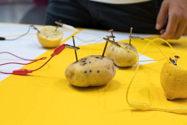 Potato battery STEM activity with potatoes, lemons, alligator clips, zinc and copper nails. Natural battery to turn on a led. scientific experiment for children on electricity on yellow background