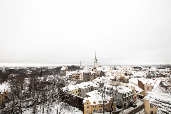 Tallinnan Kaupungin Panoraama Virossa Talvella Lumen Peitossa Talvimatkailu Virossa Baltian — kuvapankkivalokuva