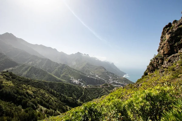 绿色热带山脉全景 植被茂密 海景尽收眼底 夏天从山上俯瞰特内里费金丝雀岛 — 图库照片