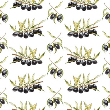 Kusursuz desen. Yapraklı siyah zeytin. Beyaz arkaplanda el çizimi suluboya çizimi.
