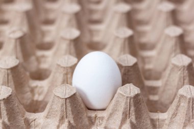 Kağıt tepside bir beyaz tavuk yumurtası.