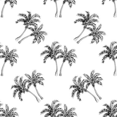 Siyah ve beyaz tropikal desenler. Beyaz arka planda palmiye ağaçları. Suluboya çizimi.