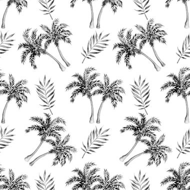 Siyah ve beyaz tropikal desenler. Beyaz arka planda palmiye ağaçları ve yapraklar. Suluboya çizimi.