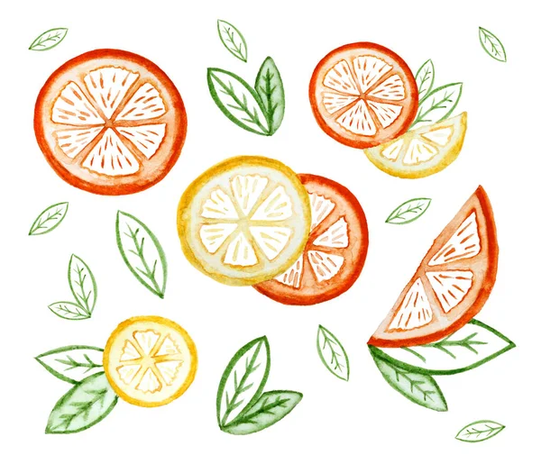 Рука Намальована Акварельними Ілюстраціями Шматочків Лимонних Апельсинових Фруктів Листям Встановити — стокове фото