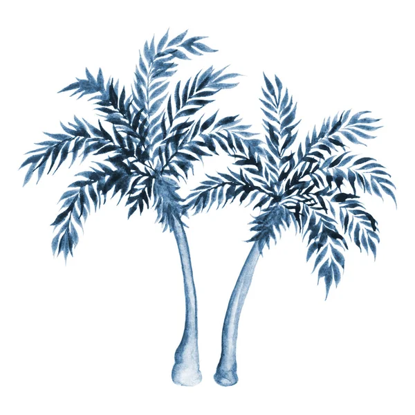 Palmera Azul Aislada Sobre Fondo Blanco Ilustración Acuarela —  Fotos de Stock