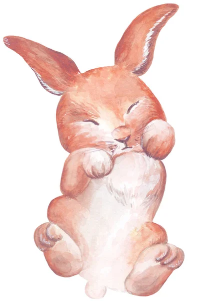 Watercolor sleeping little red hear