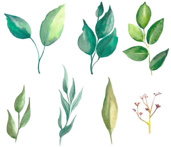Watercolor green leaves clip art