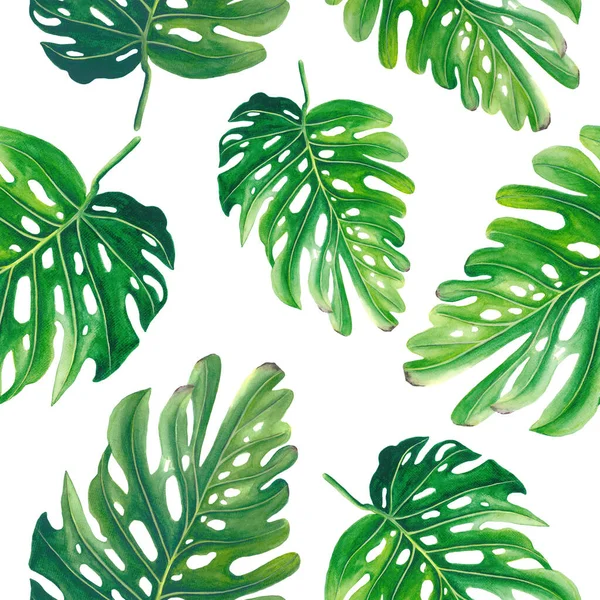 Watercolor tropical monstera seamless pattern — ストック写真