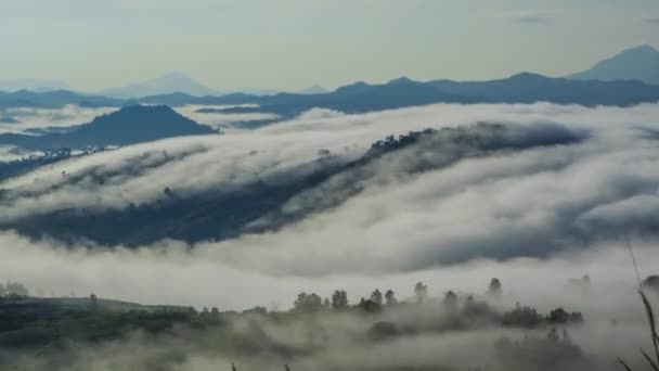 Hermosas Nubes Deriva Mar Nubes Sobre Montaña Tomado Ranau Sabah — Vídeos de Stock