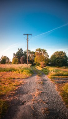 Telegraf direği gün batımına kadar uzanan sıcak kırsal tarım yolu.