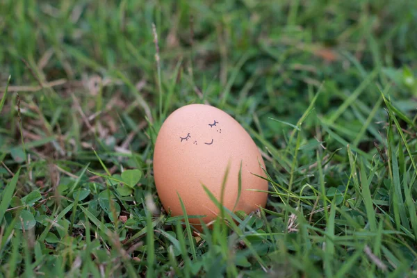 Smiley face on egg on grass background, Happy easter egg concept.