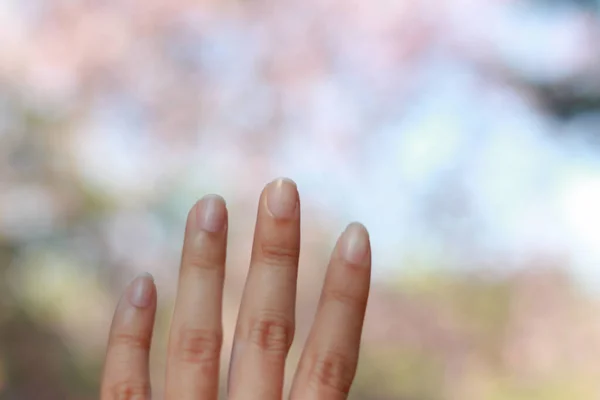 Mão Mulher Desfocada Fundo Bokeh Rosa — Fotografia de Stock