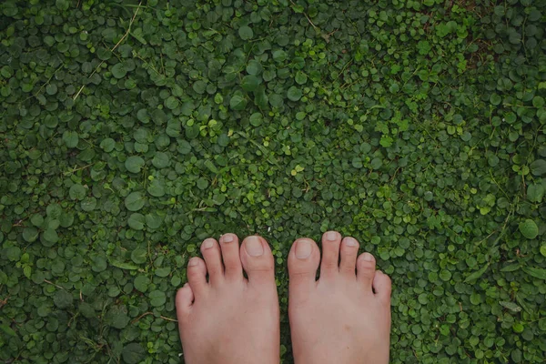 Top View Selfie Bare Feet Green Grass — Stock Photo, Image