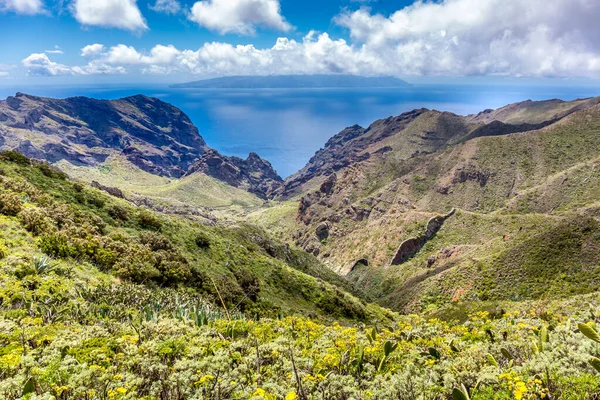 Yeşil İskoçya, Tenerife, Kanarya Adaları, İspanya — Stok fotoğraf