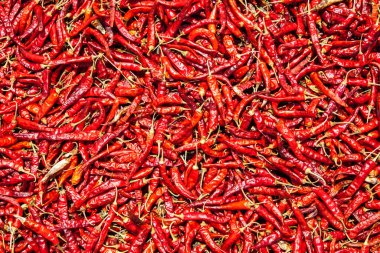 Kuru kırmızı biber arka planı. Baharatlı yemek.