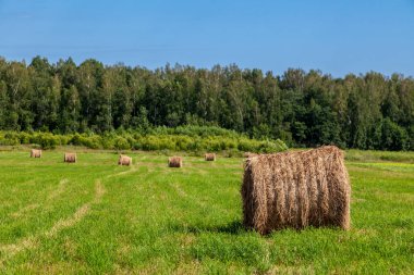saman balyaları manzarası