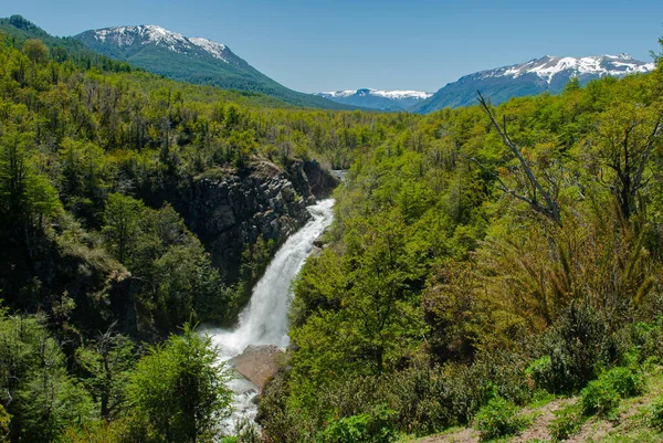 Arka planda karlı dağlar olan çam ormanlarının arasında şelale