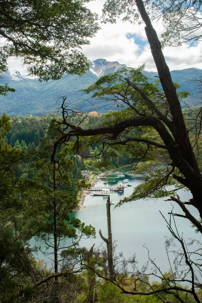 Bulutlu bir bahar gününde gölün ve ormanın kıyılarının burun dalış manzarası