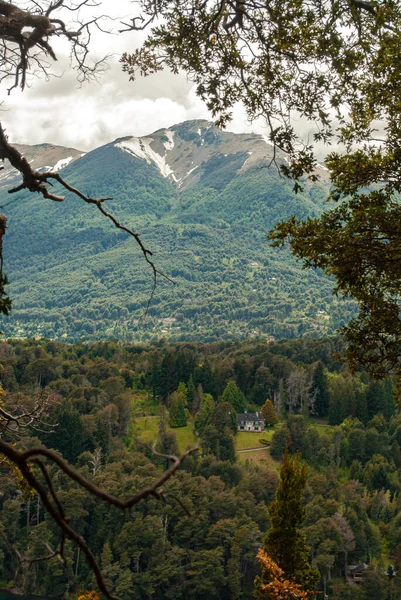 Paisaje montaoso visto desde lo alto a travs de las ramas de pino