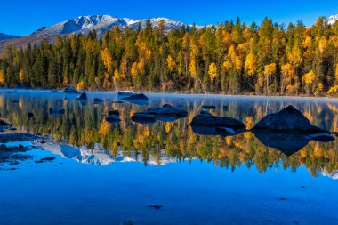 Kanas 'ta sonbahar manzarası manzarası, Xinjiang, Çin