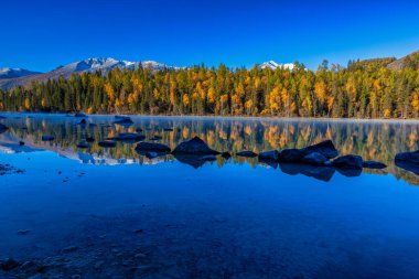 Kanas 'ta sonbahar manzarası manzarası, Xinjiang, Çin