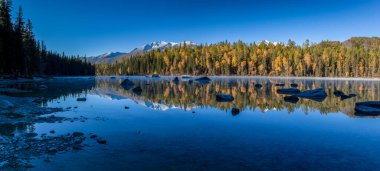 Kanas 'ta sonbahar manzarası manzarası, Xinjiang, Çin