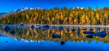 Kanas 'ta sonbahar manzarası manzarası, Xinjiang, Çin