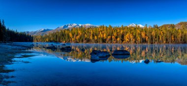 Kanas 'ta sonbahar manzarası manzarası, Xinjiang, Çin