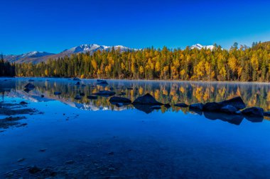 Kanas 'ta sonbahar manzarası manzarası, Xinjiang, Çin