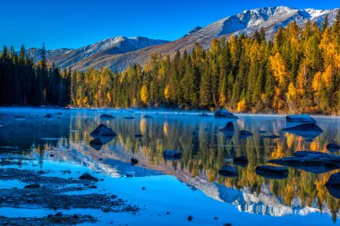 Kanas 'ta sonbahar manzarası manzarası, Xinjiang, Çin
